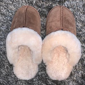 Bearpaw Slippers
